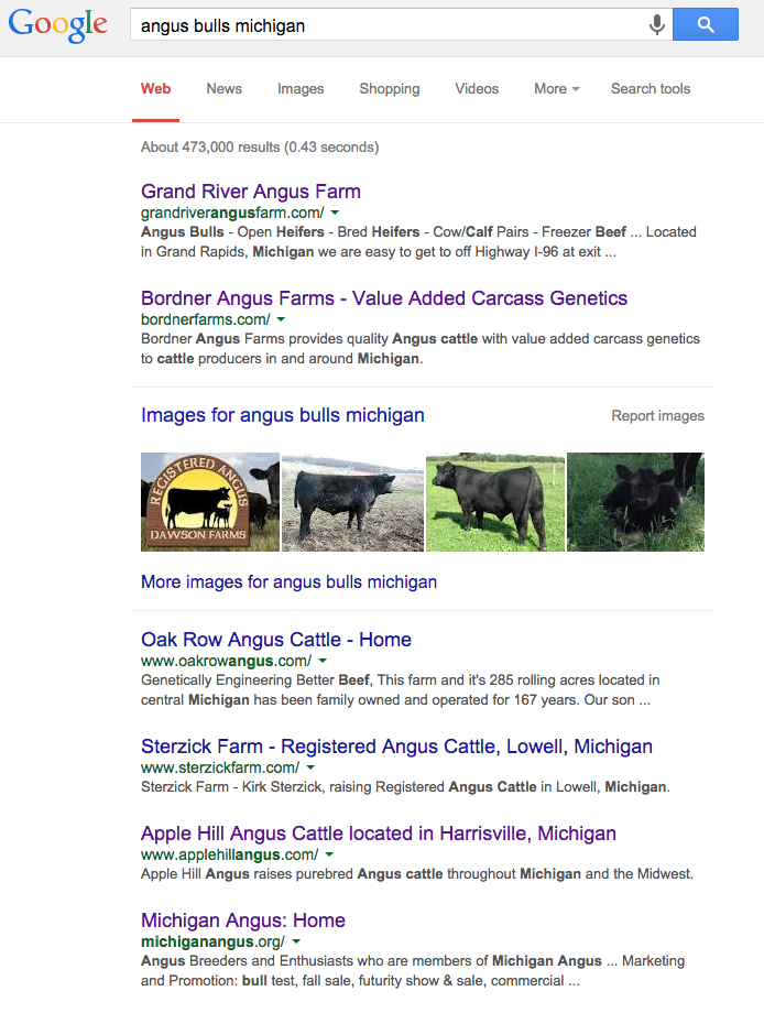 desktop angus bulls michigan search