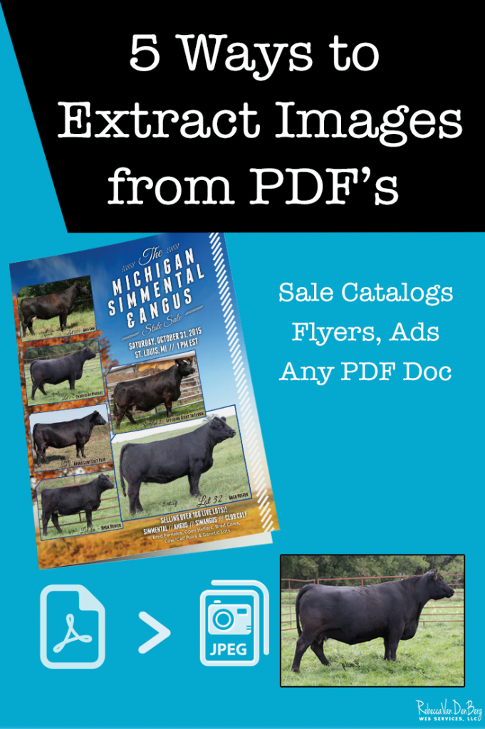 extract pdf images