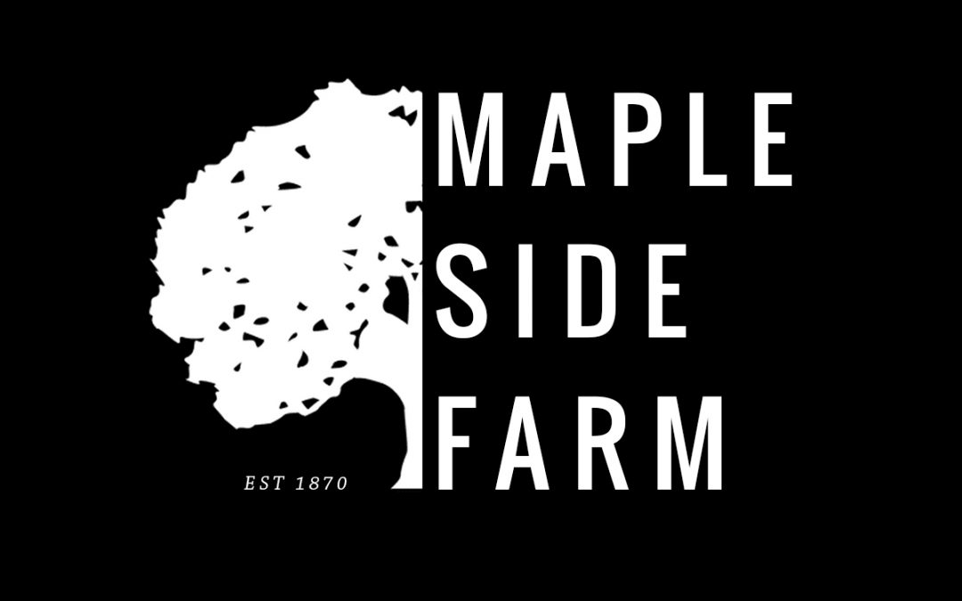 Maple Side Farm