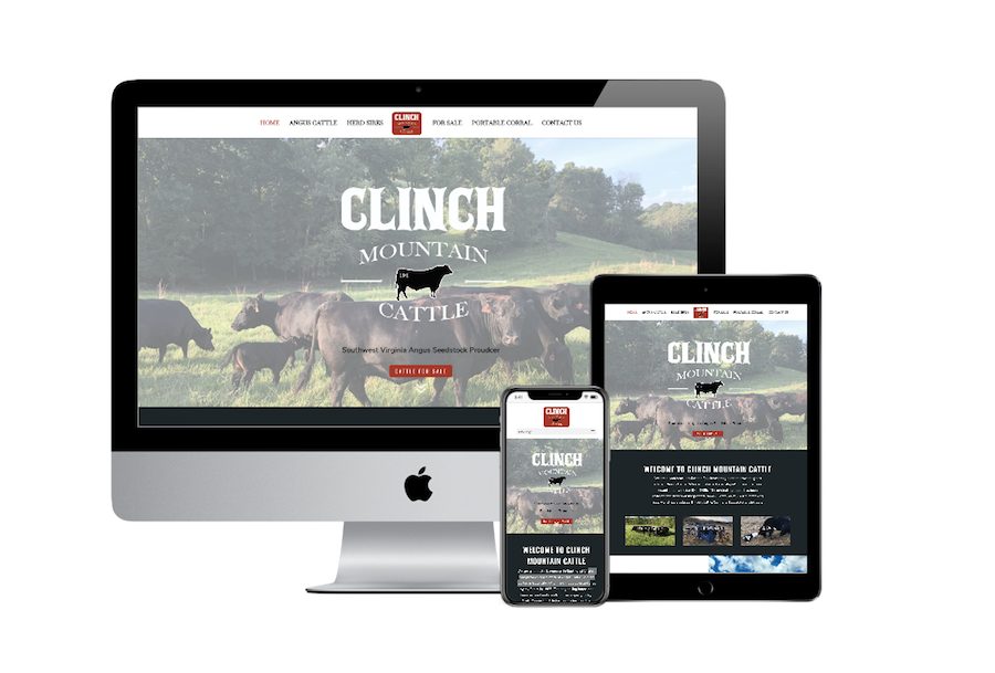 Clinch Mountain Cattle