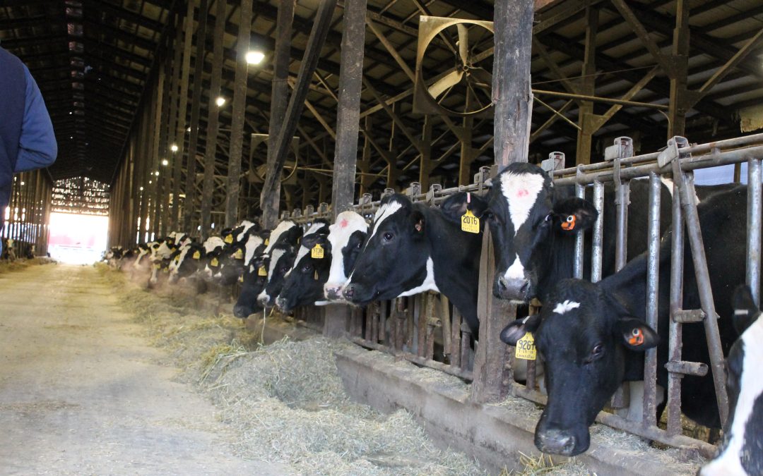 Agrarian Solutions