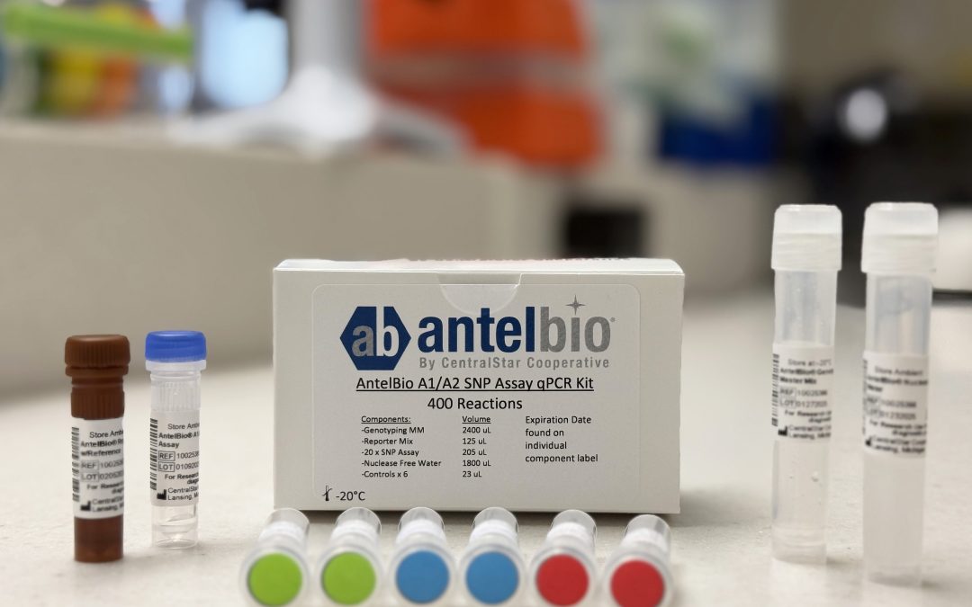 AntelBio