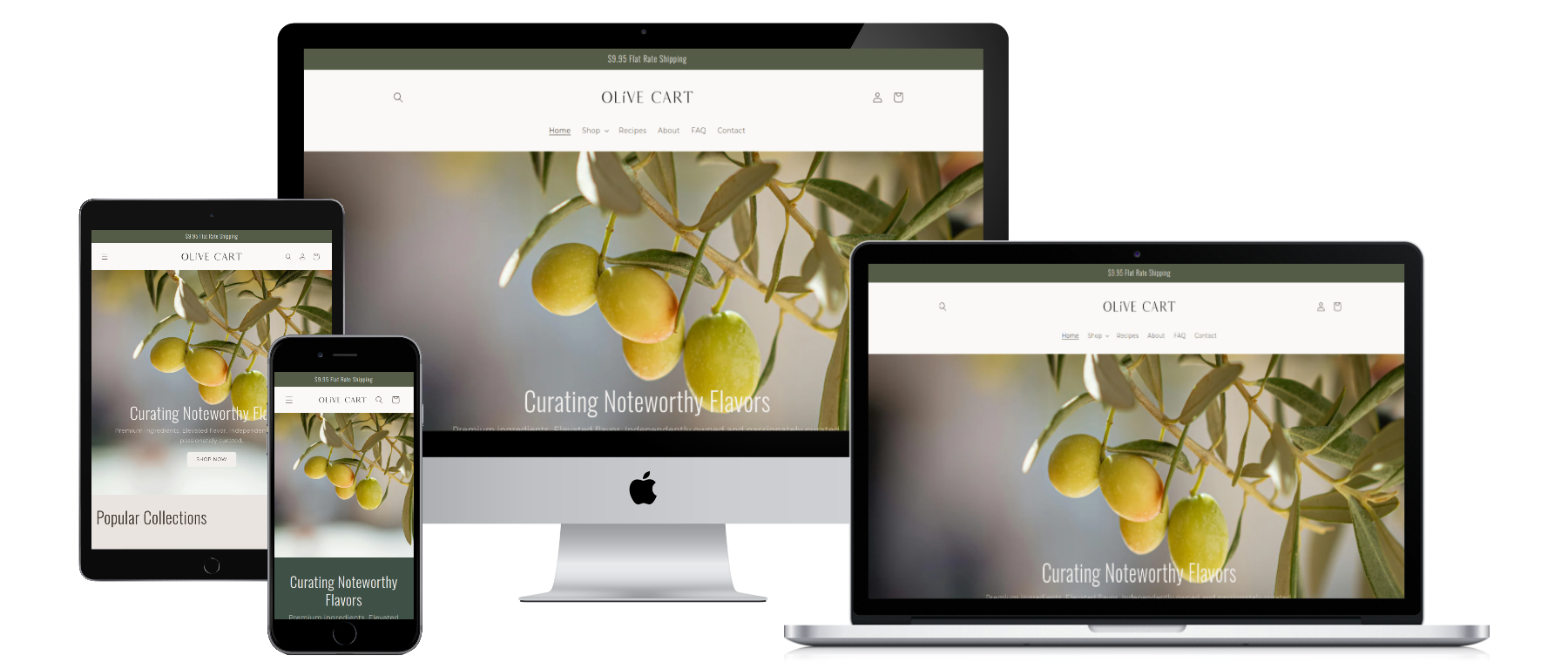 olive cart shopify website design<br />